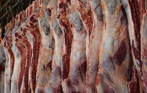 خرید و فروش خرید و فروش گوشت قرمز گرم گوسفندی با شرایط فوق العاده با شرایط فوق العاده